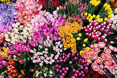 笑到翻船！多人欢乐互坑游戏《枪豆人》全新试玩现已开启！